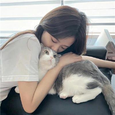 智叻狗仔队